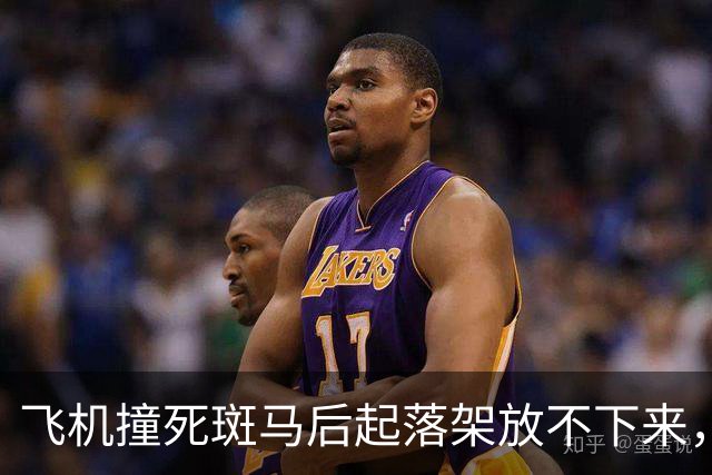 飞机撞死斑马后起落架放不下来，30人是怎么落地的？